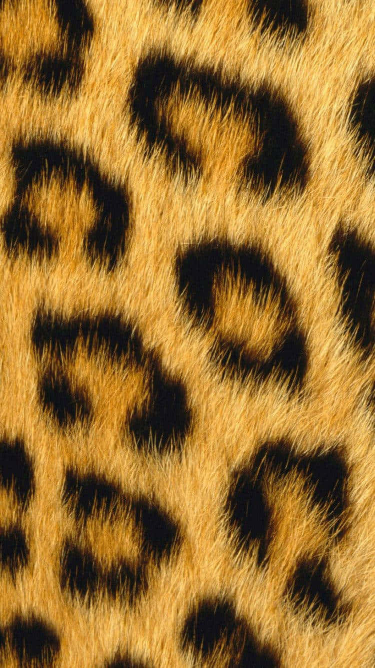 Animal Print iPhone Wallpaper