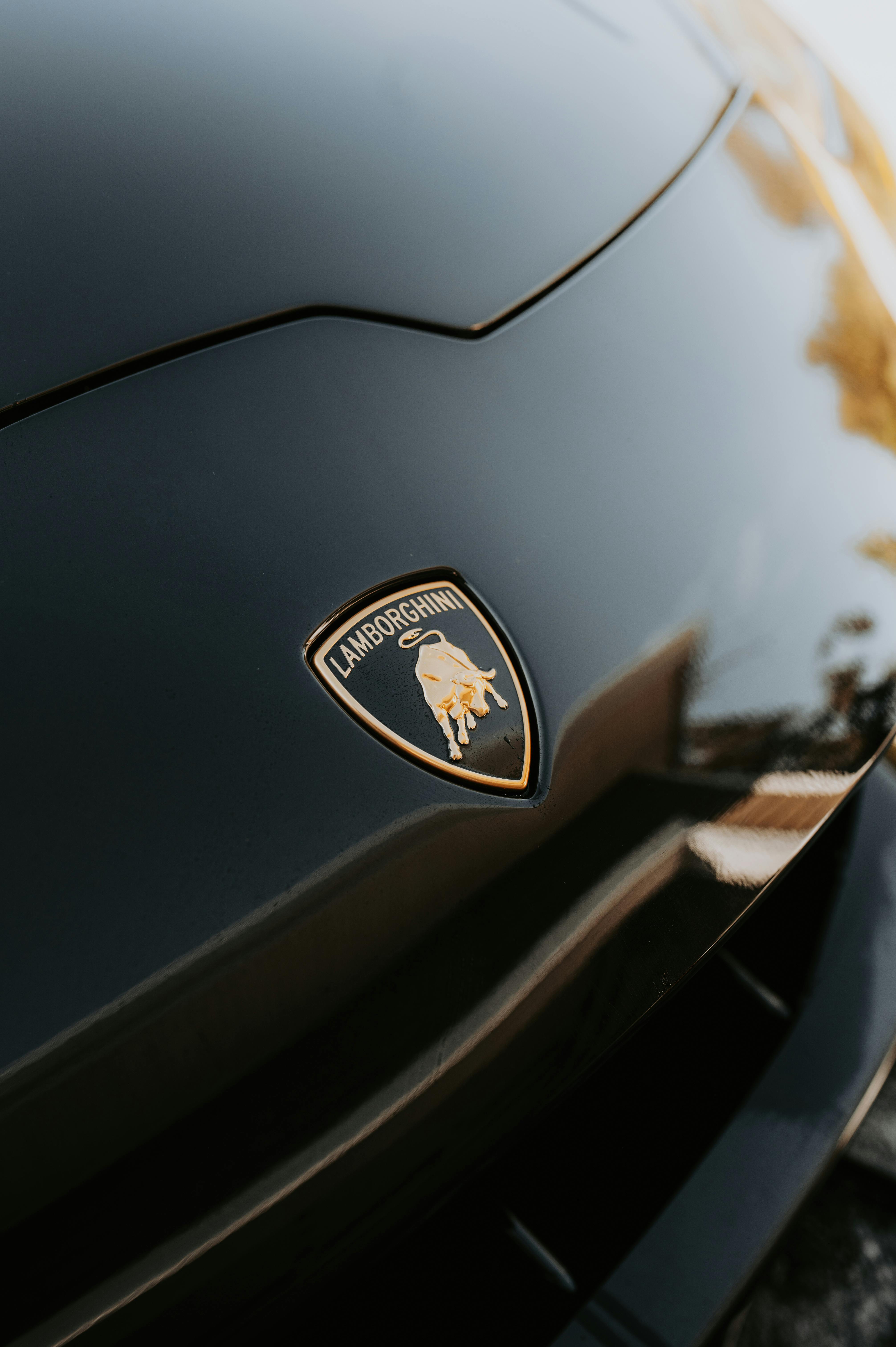 Lamborghini Emblem · Free