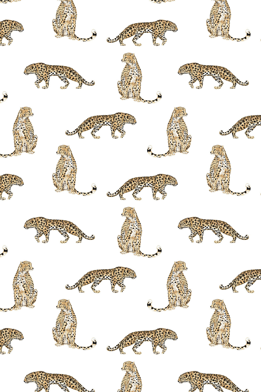 Wallpaper Cheetah, Removable Self