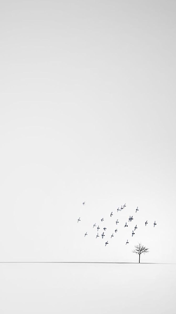 iPhone, Minimalistic, White