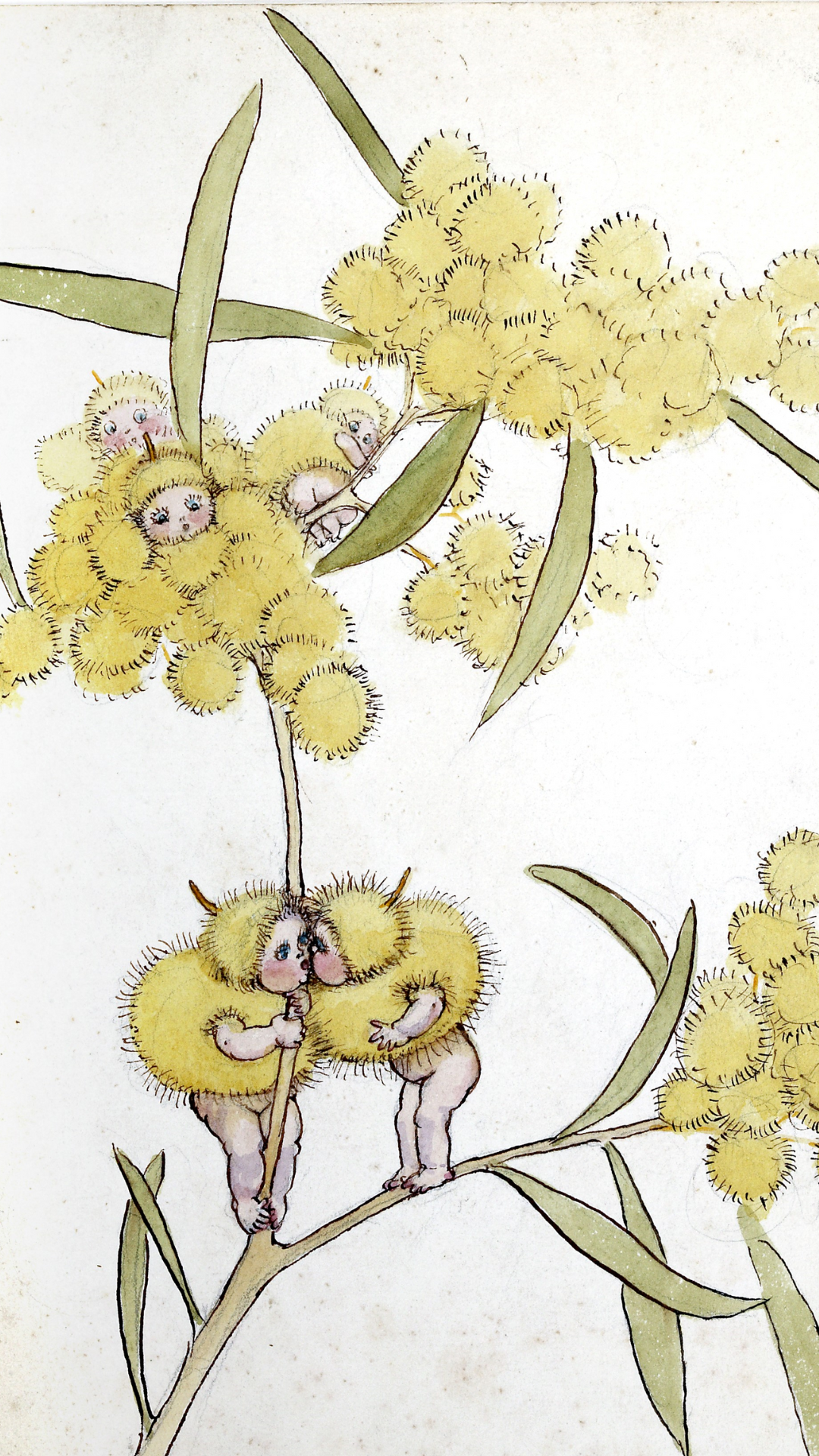 May Gibbs Downloadable Phone Wallpaper