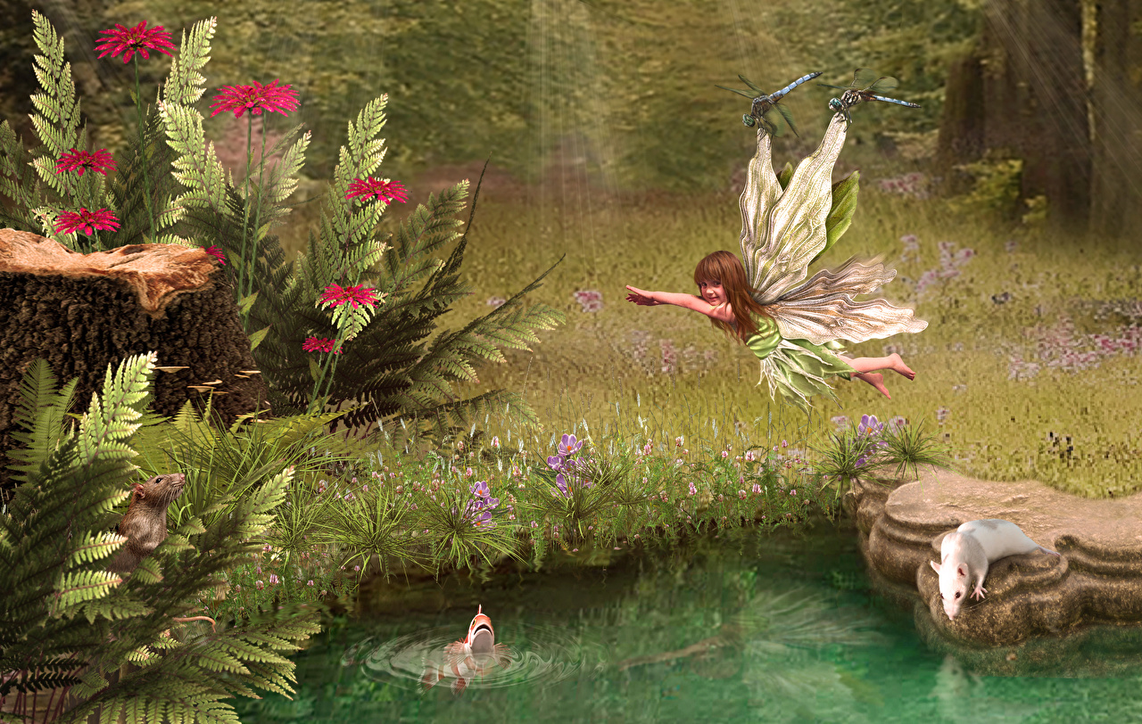 Picture Fairy dragonfly Fantasy Pond