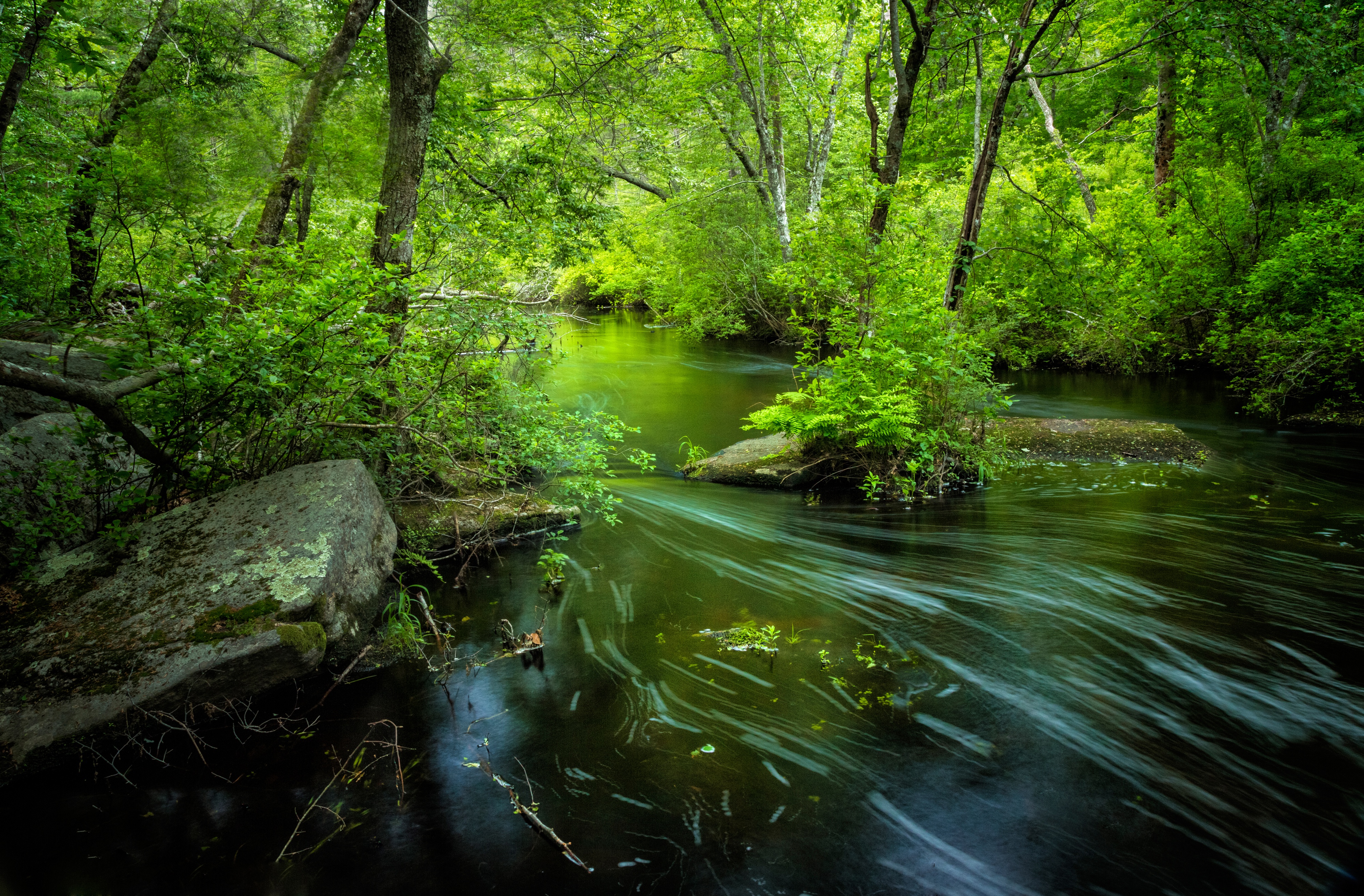 Greenery Nature River 4k Ultra HD Wallpaper