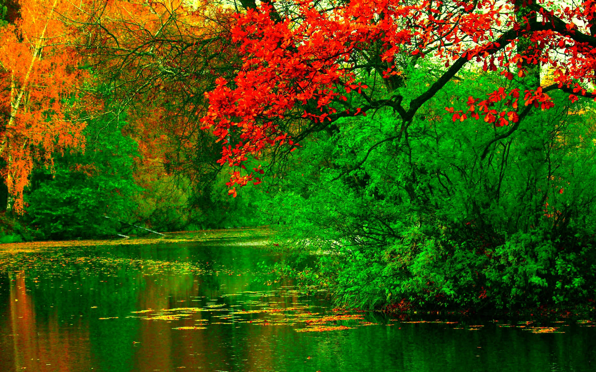 Download River Background