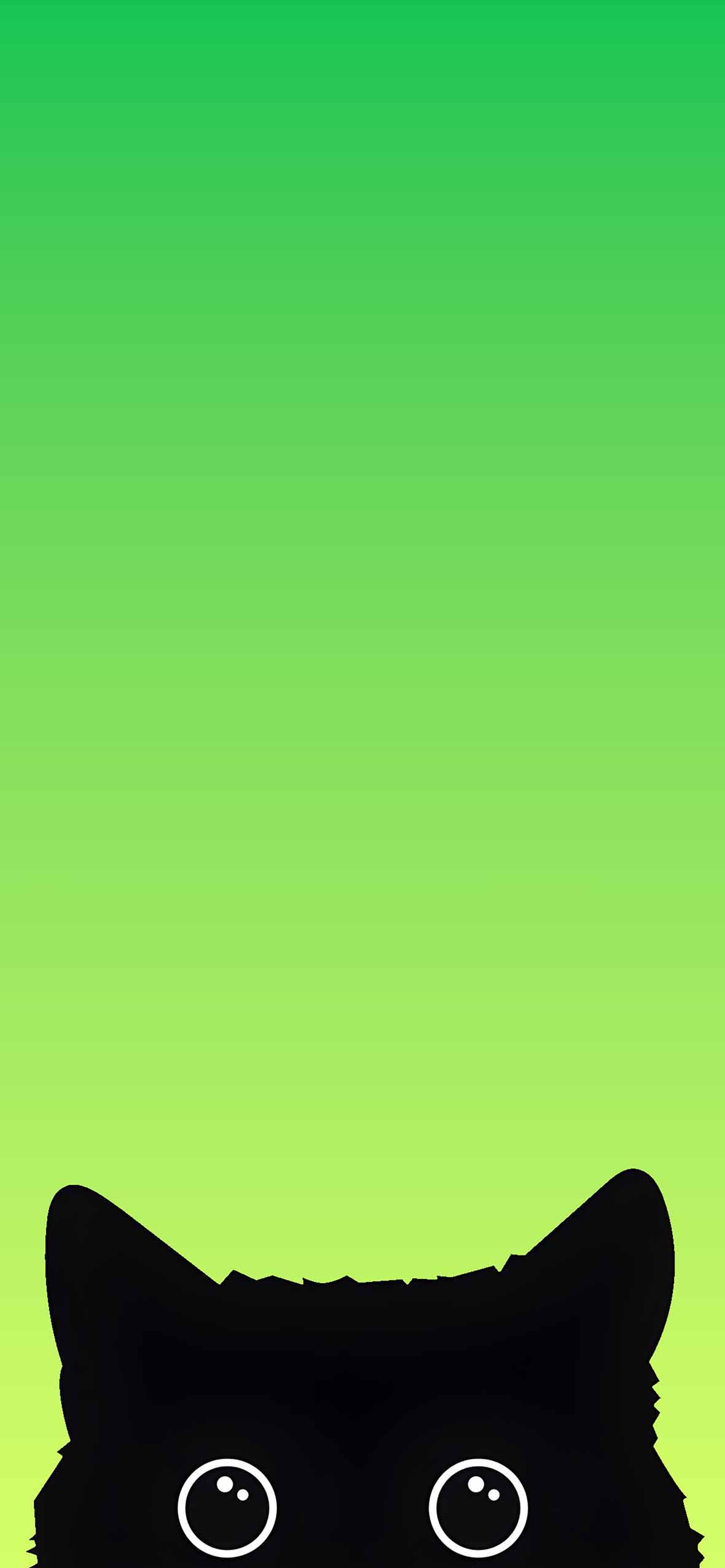 Black Cat Looking Wallpaper