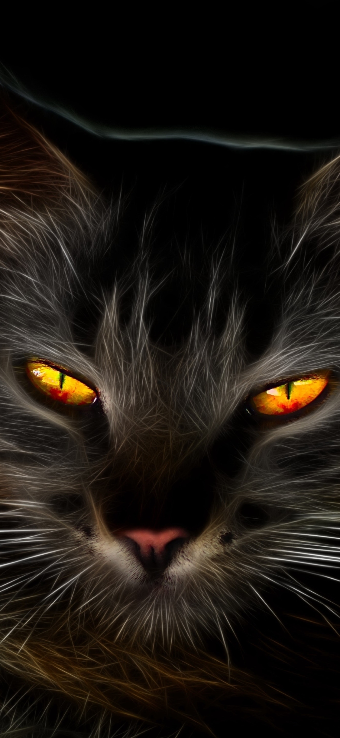 Yellow Eyes Animal Cat Phone Wallpaper
