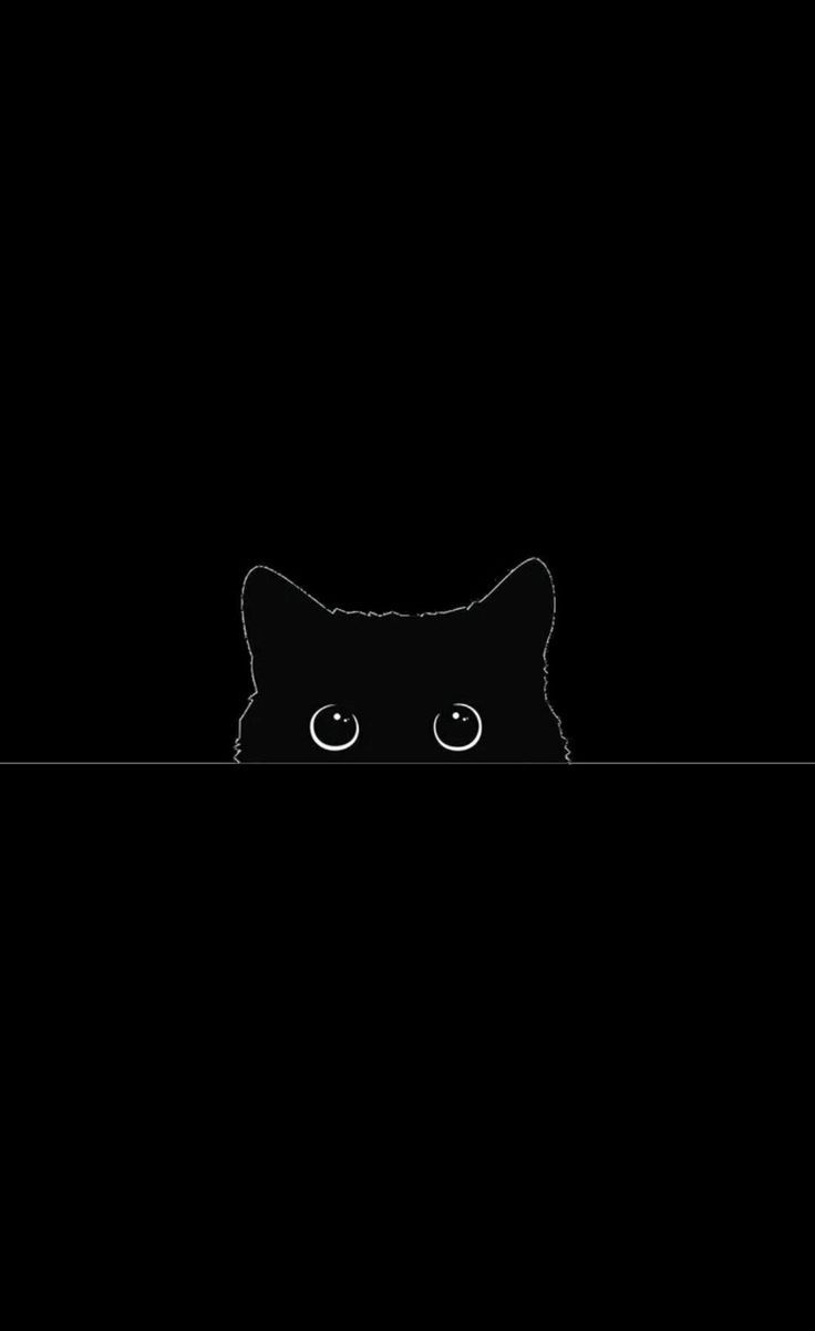 black wallpaper, Cat phone wallpaper
