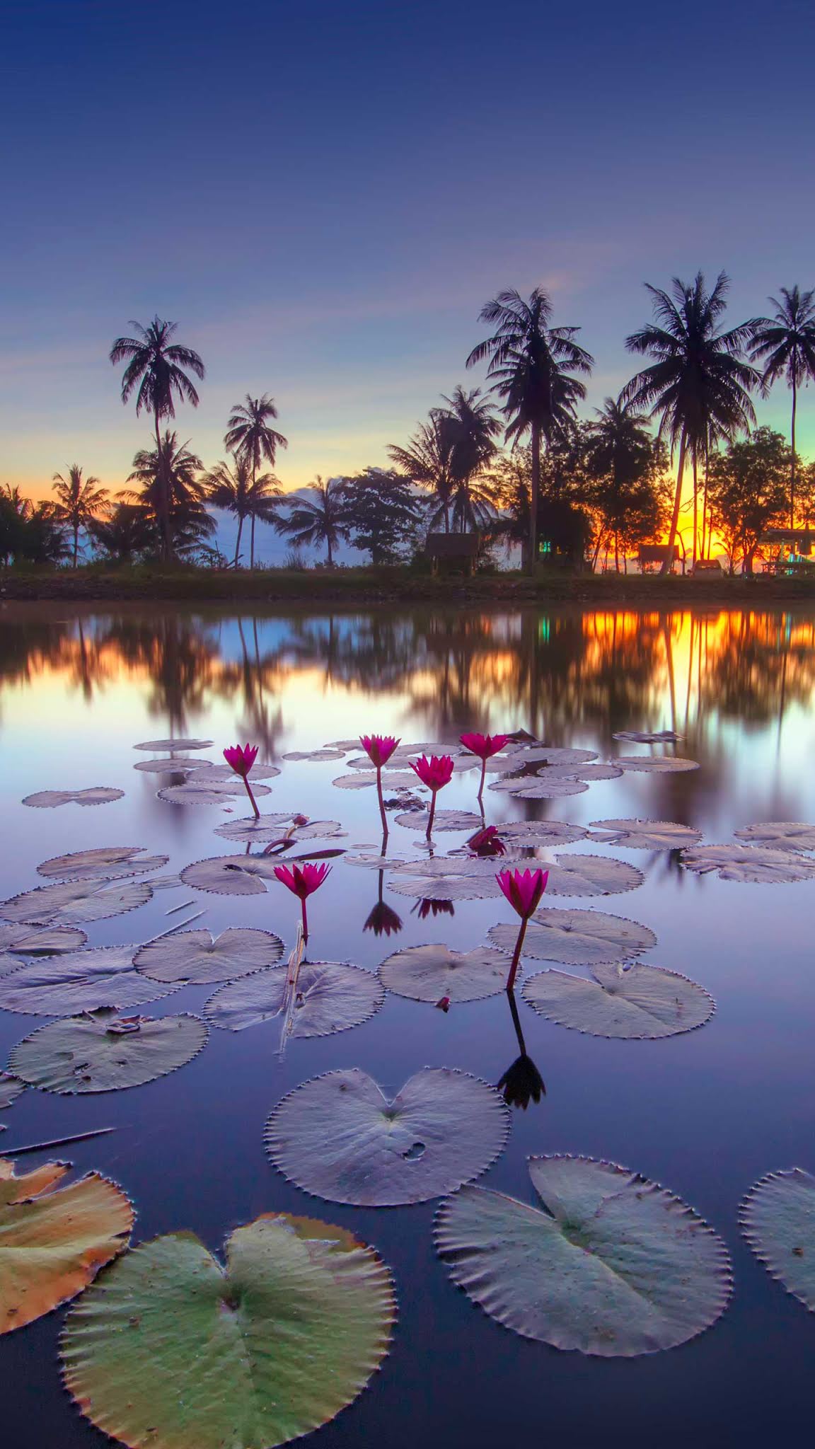 Lovely Lake and sunset Mobile wallpaper