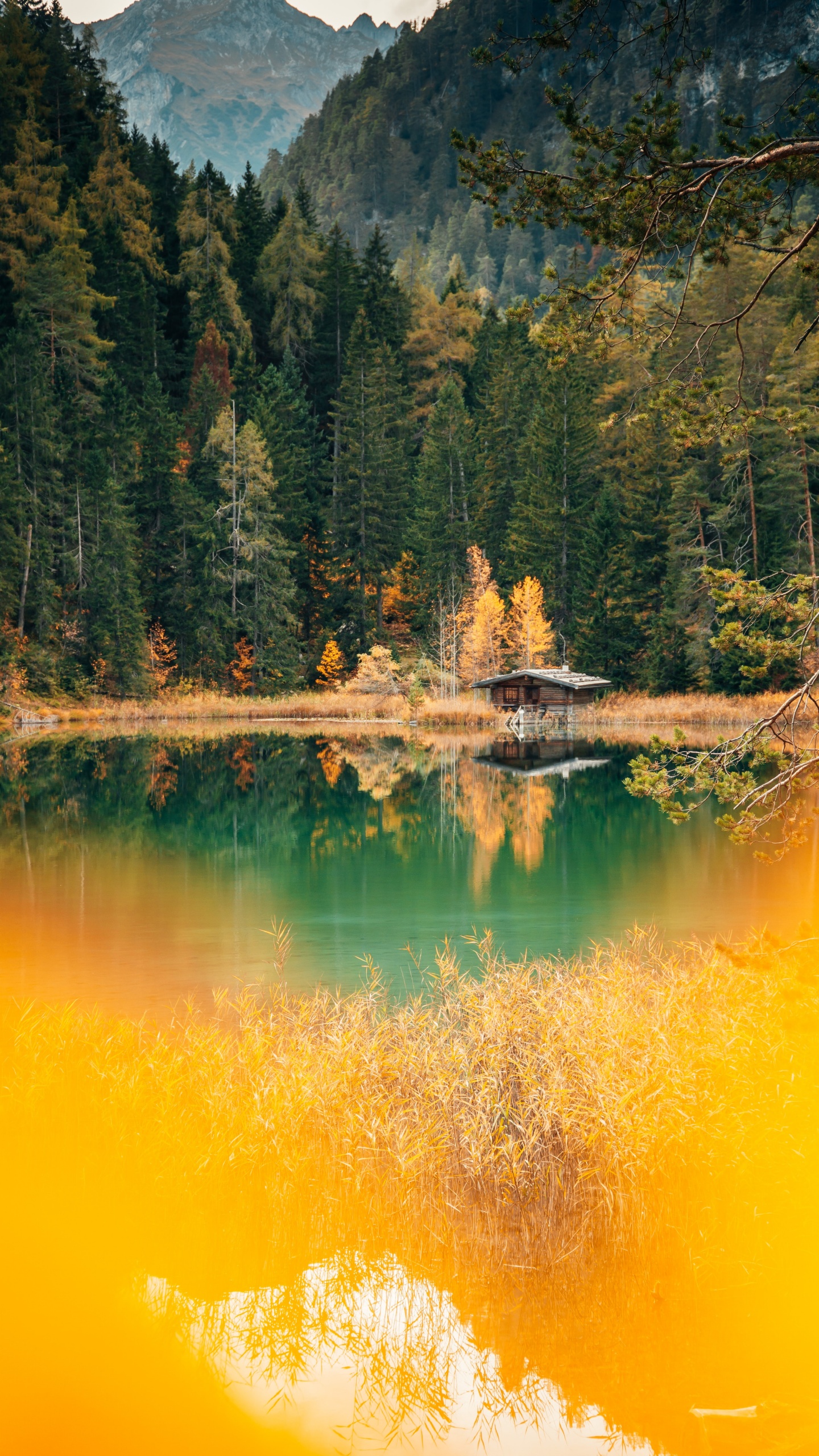 Lake house Wallpaper 4K, Forest, Green