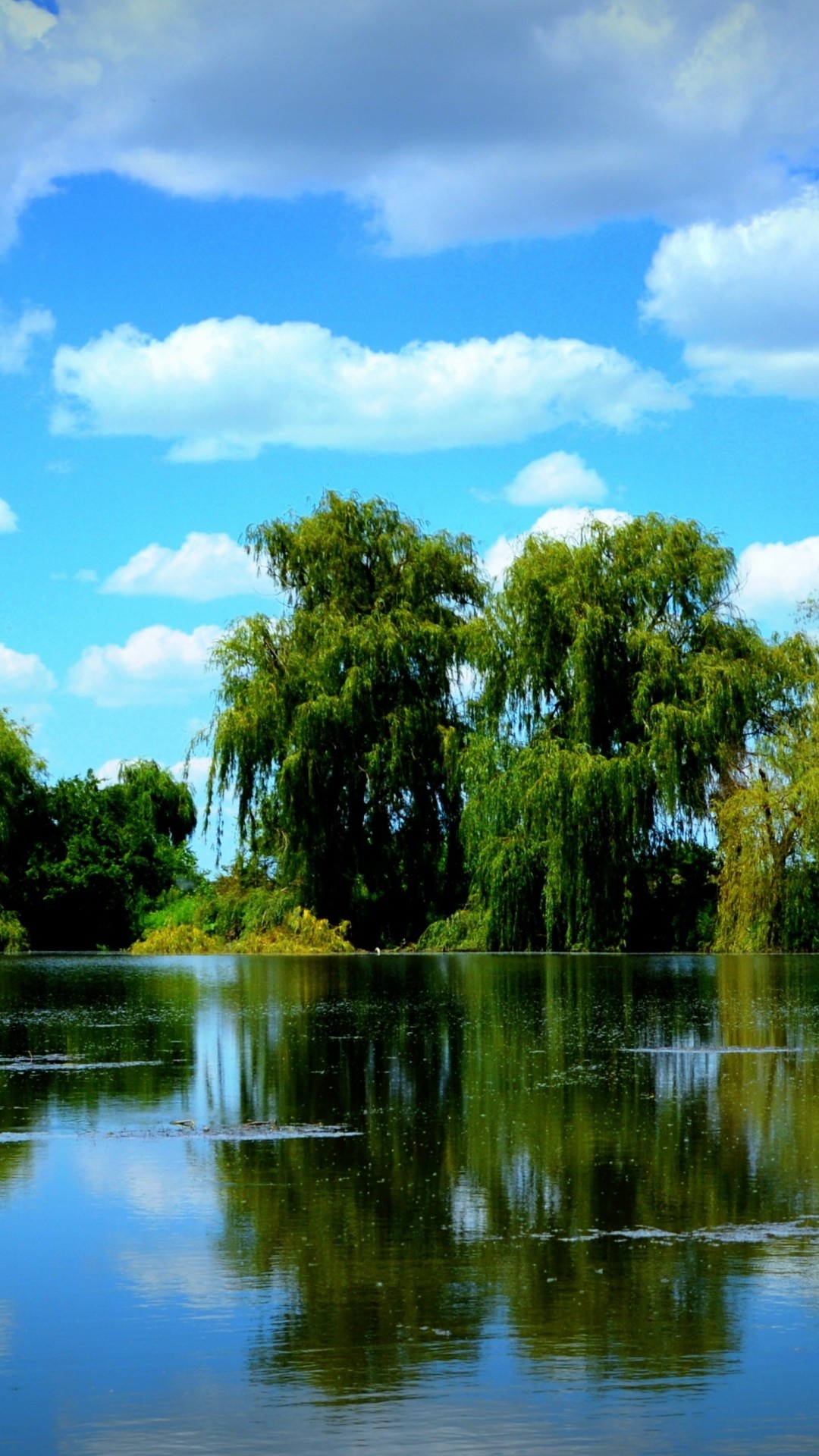 Nature Scenery K Ultra HD Wallpaper