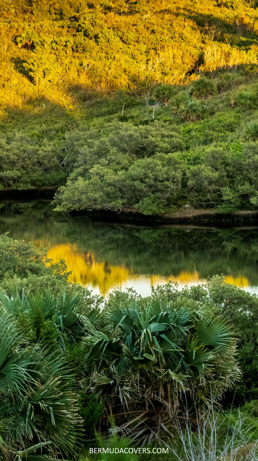 Lake Nature Reserve Facebook Cover