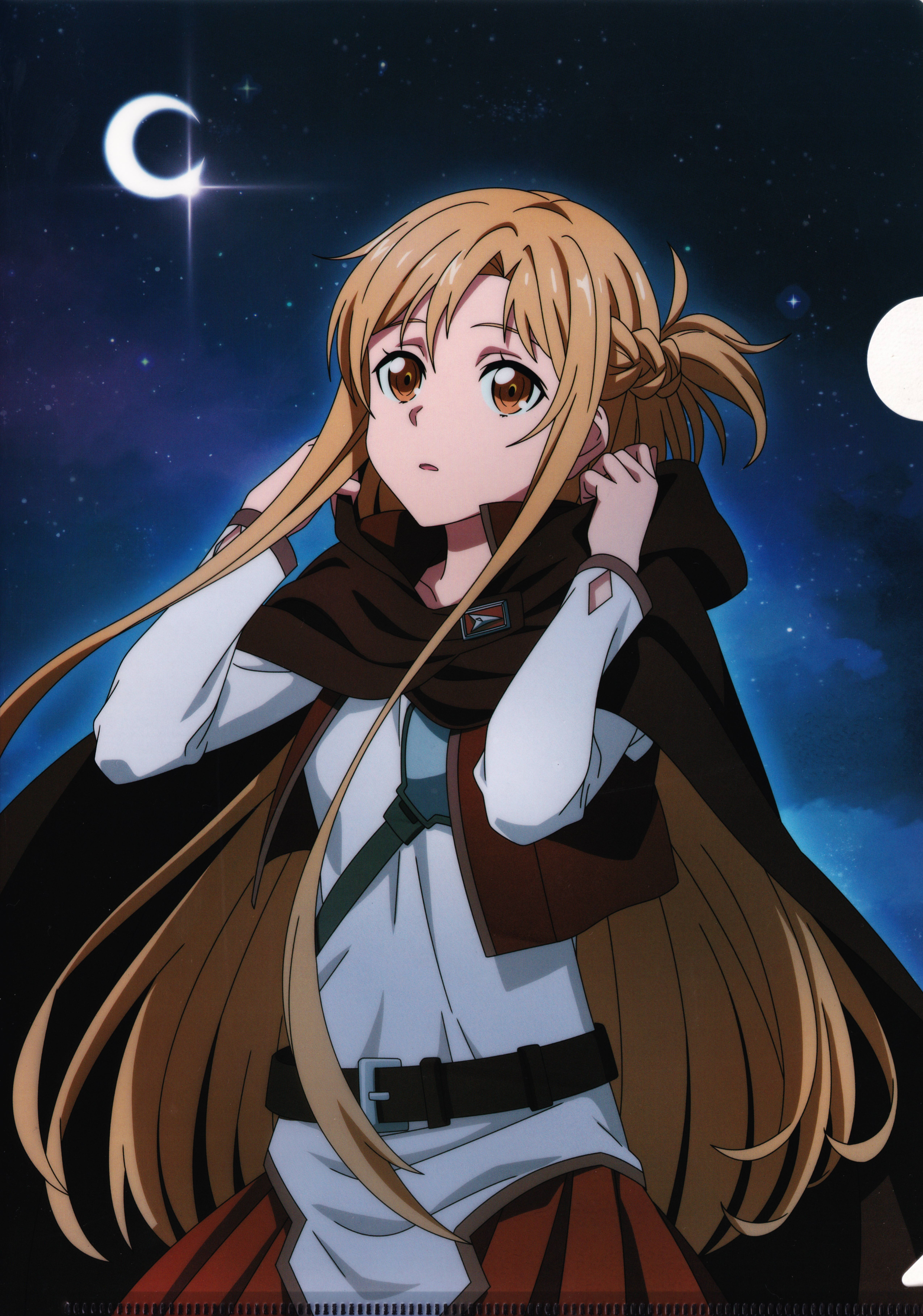 Yuuki Asuna Art Online