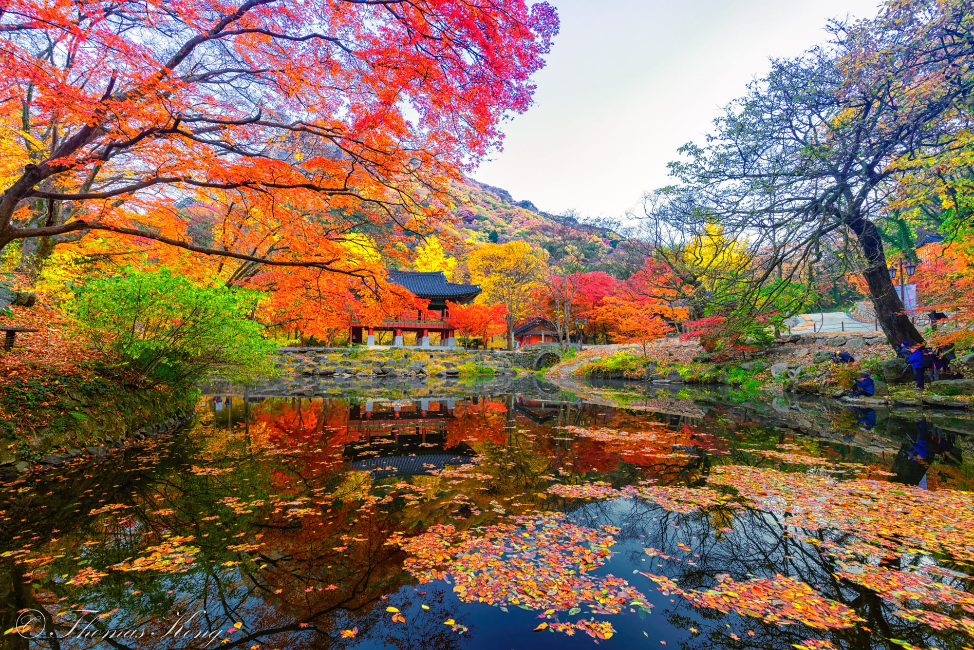 Wallpaper pond, gazebo, South Korea