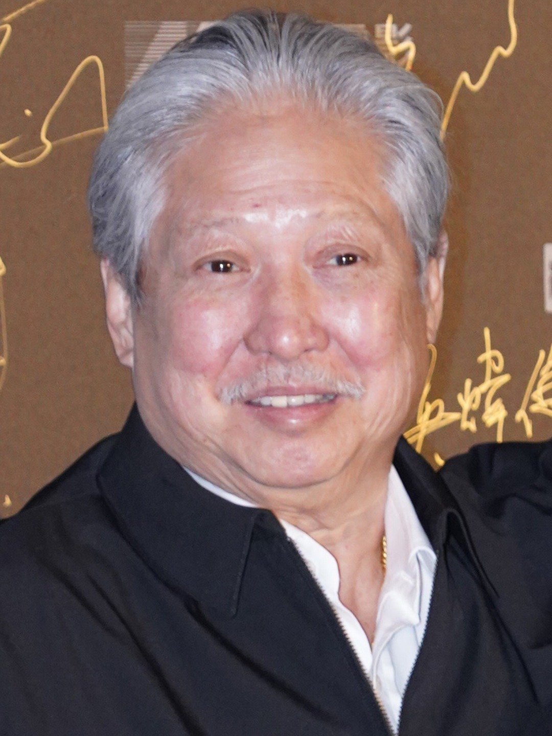 Sammo Hung, Martial Artist