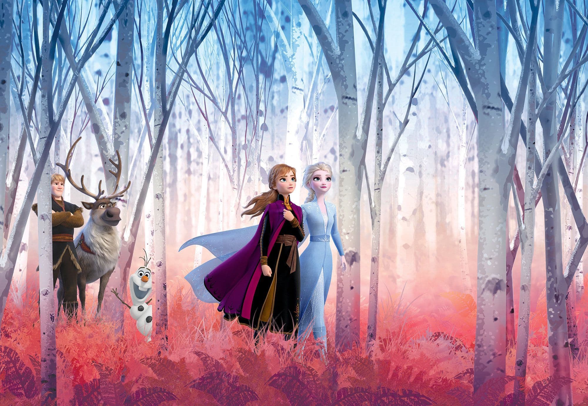 Wall Mural photo wallpaper ELSA Frozen