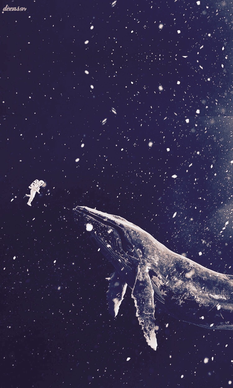 the Lonely 52 Hertz whale