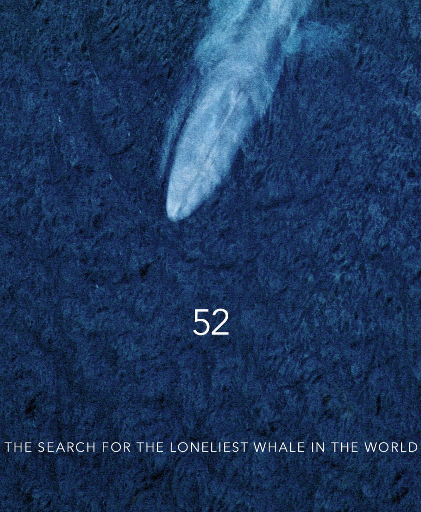 Finding 52: The Loneliest Whale in
