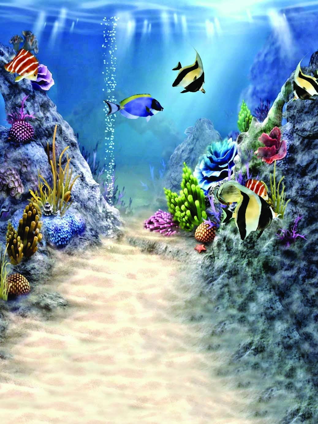 Sea Backdrop Fish Bubble Coral Reef
