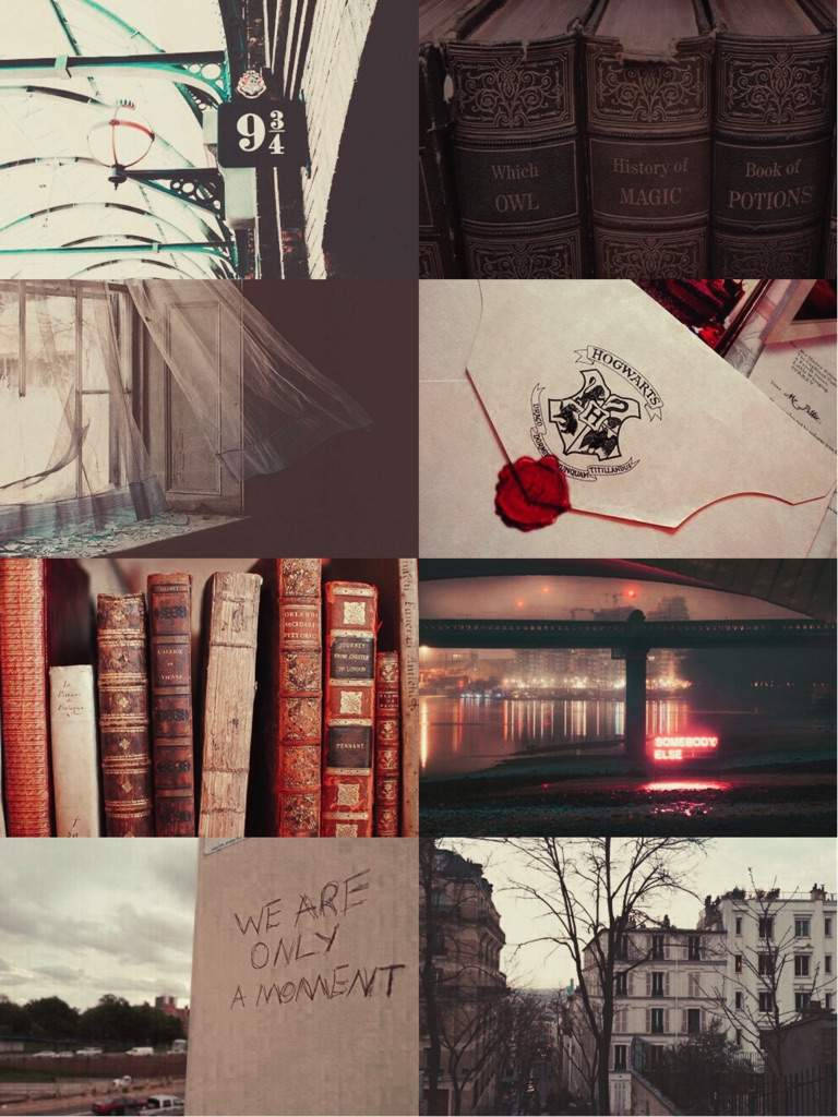 Collage Of Hp Aesthetic Artifacts