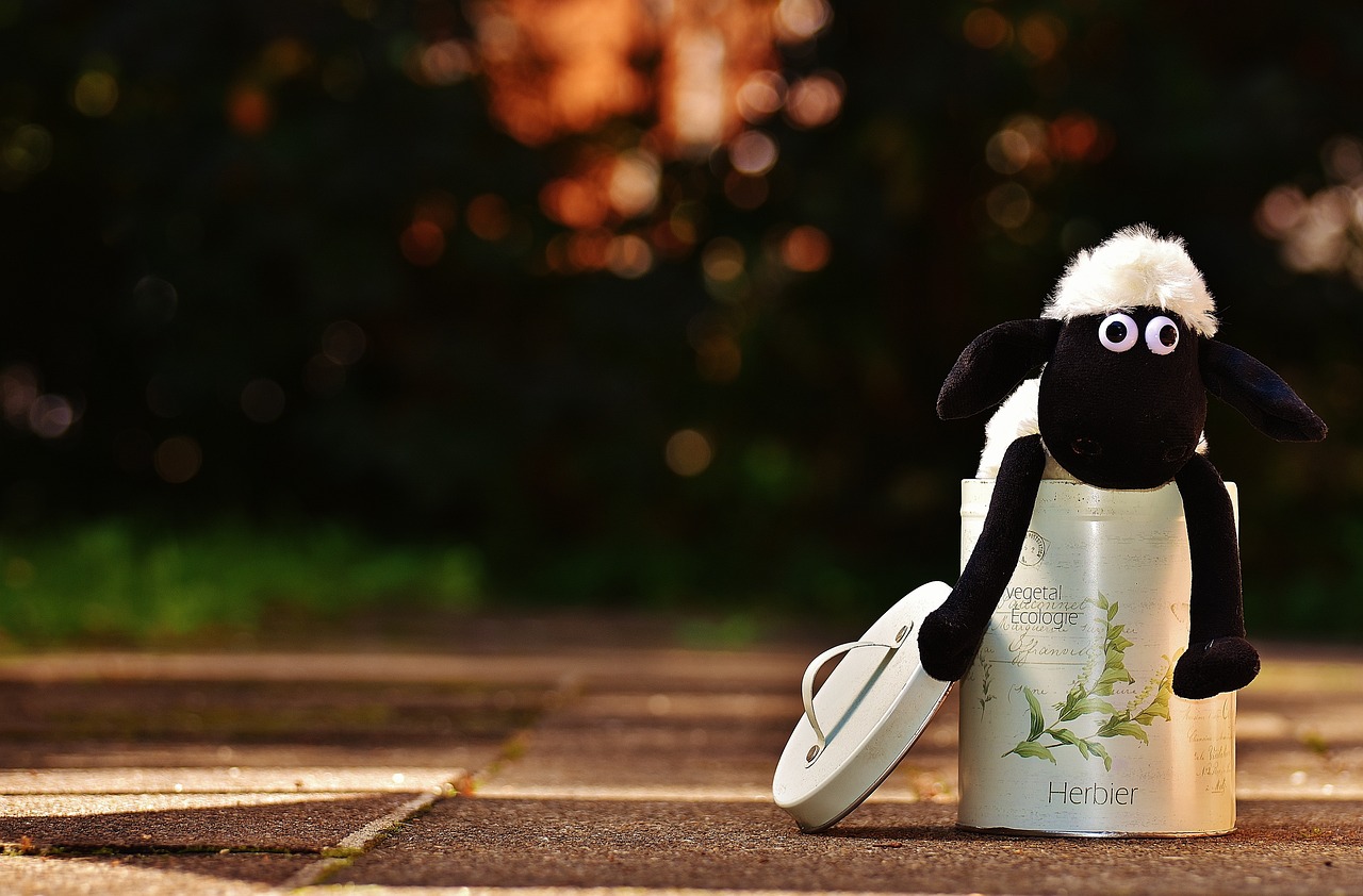 20,Free Funny Sheep & Sheep Image