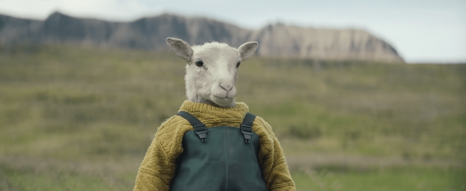 I want to adopt the lamb from Lamb