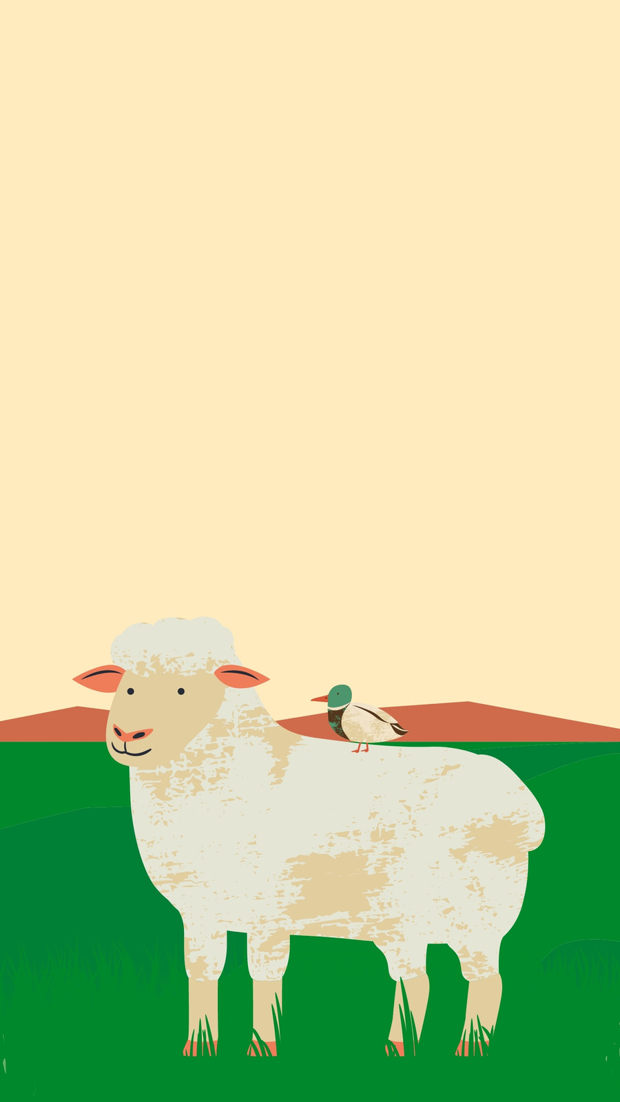 sheep