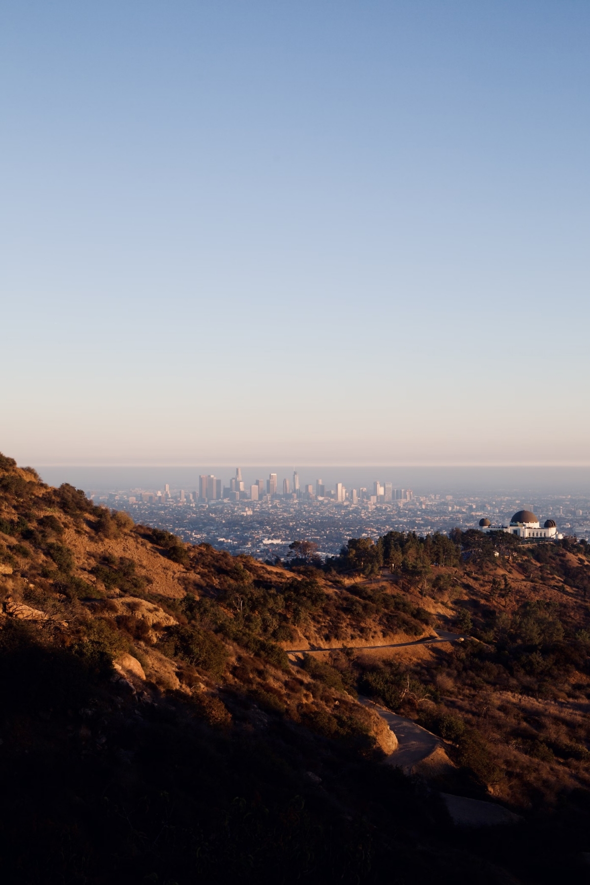 Download Free iPad Wallpaper