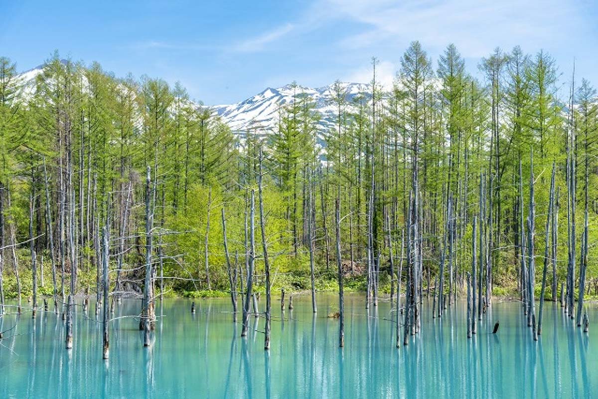 Blue pond Biei, Hokkaido, A Mac