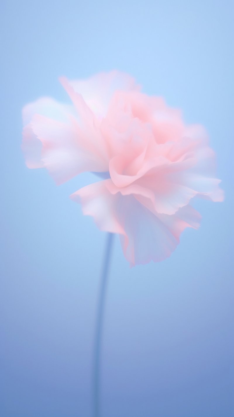 Flower iPhone Wallpaper Soft Colour