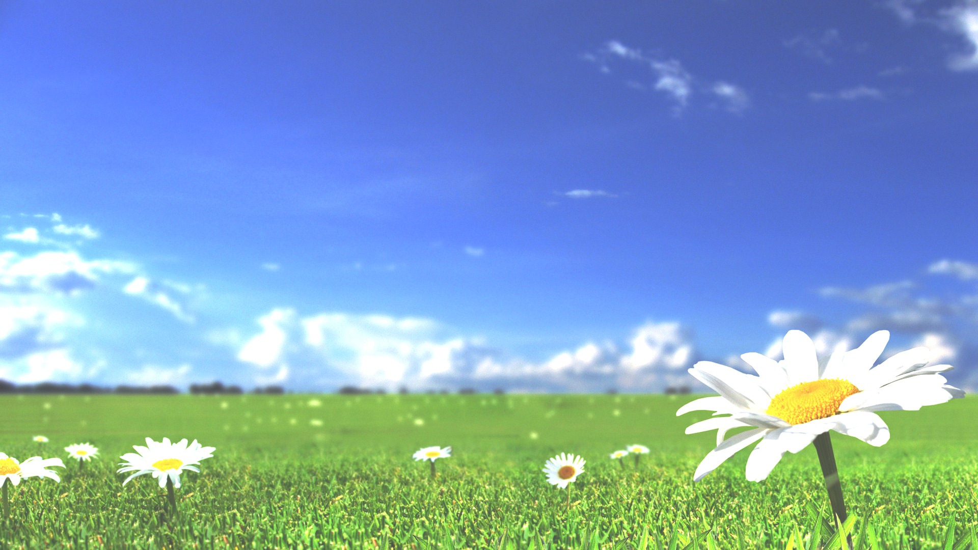 Math Arena Enrichment Centre