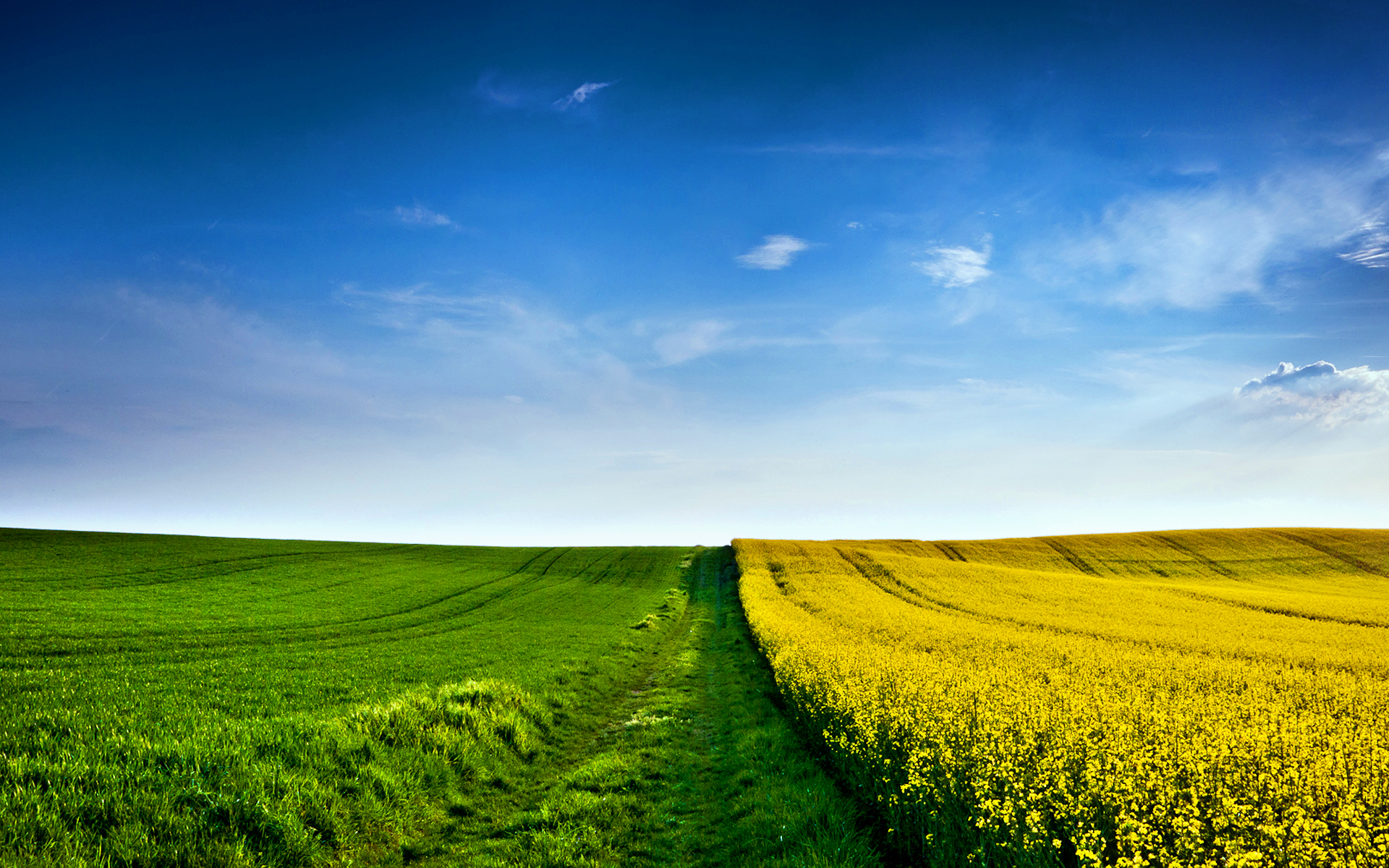Field Wallpaper HD Free Download