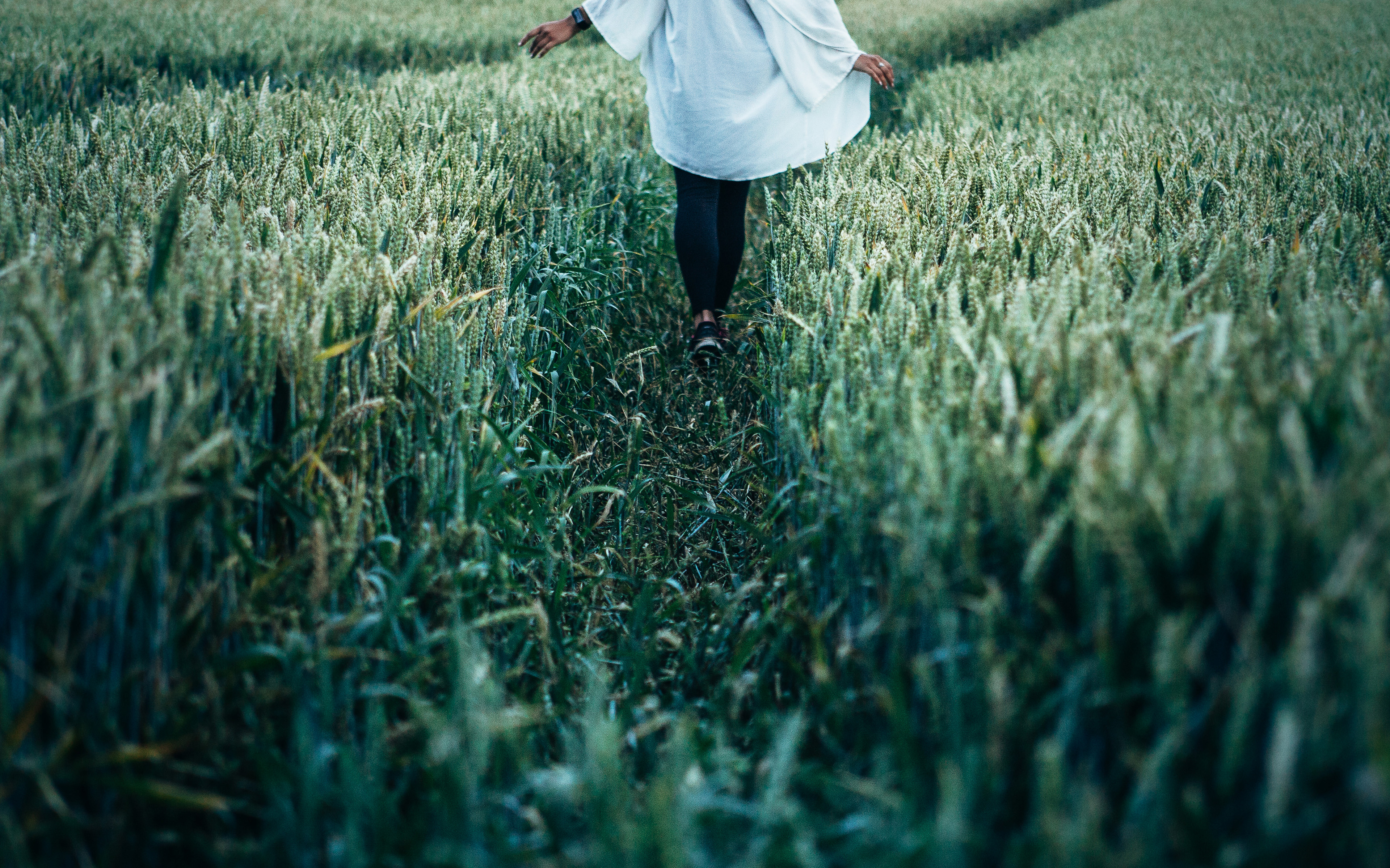 Corn Field Green Girl Walking Nature