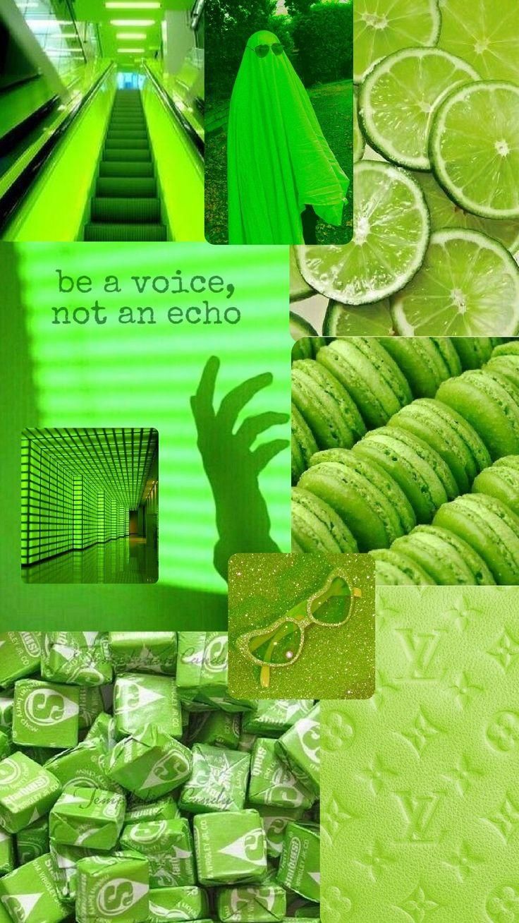 Light Green Summer Wallpaper