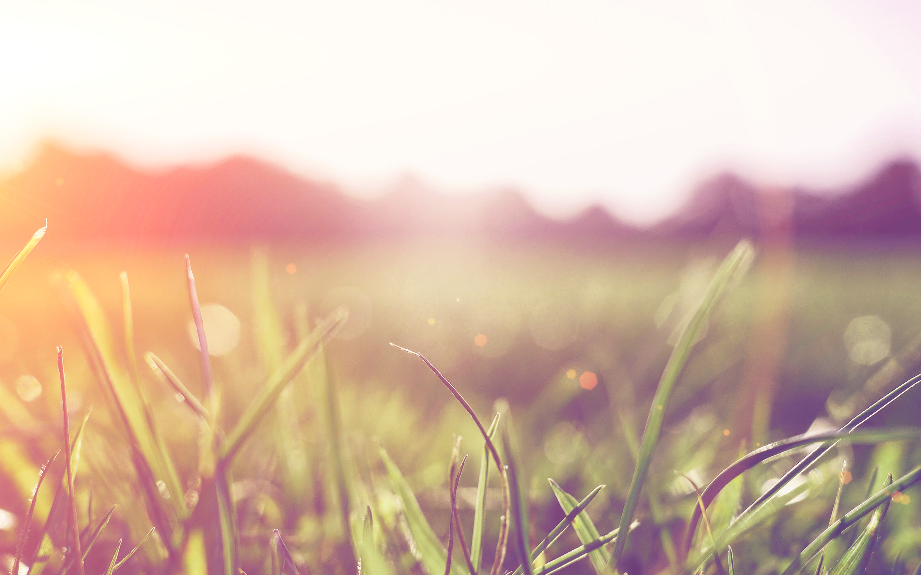 Grass Green Orange Bokeh Light