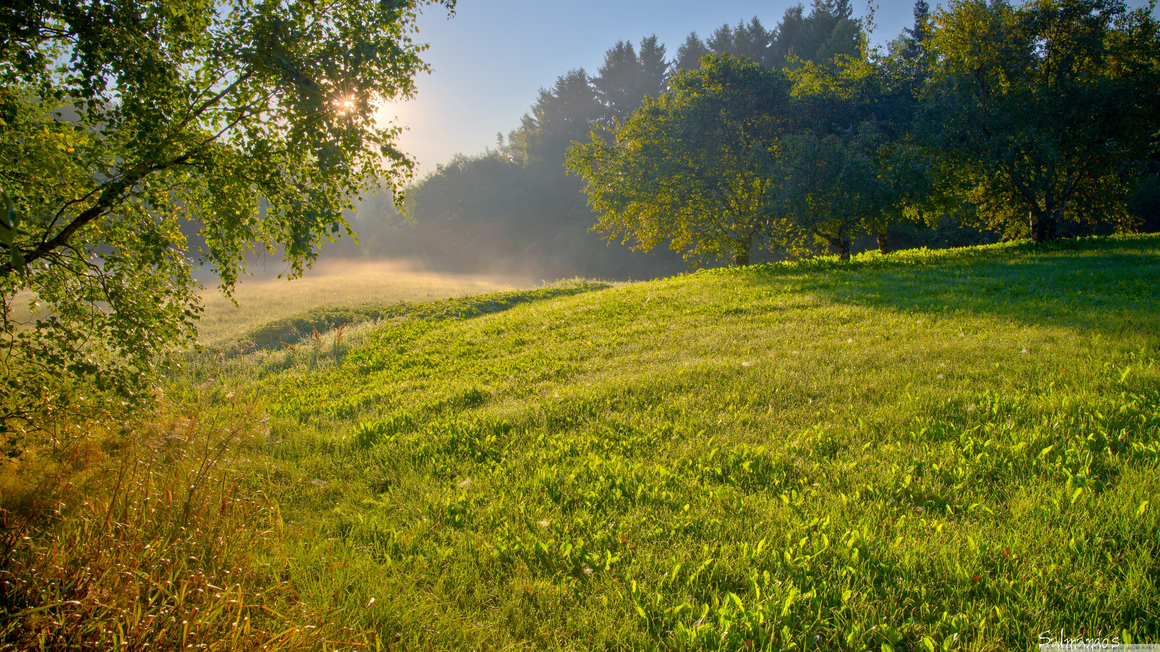 4K UHD Wallpaper for UltraHD Desktop