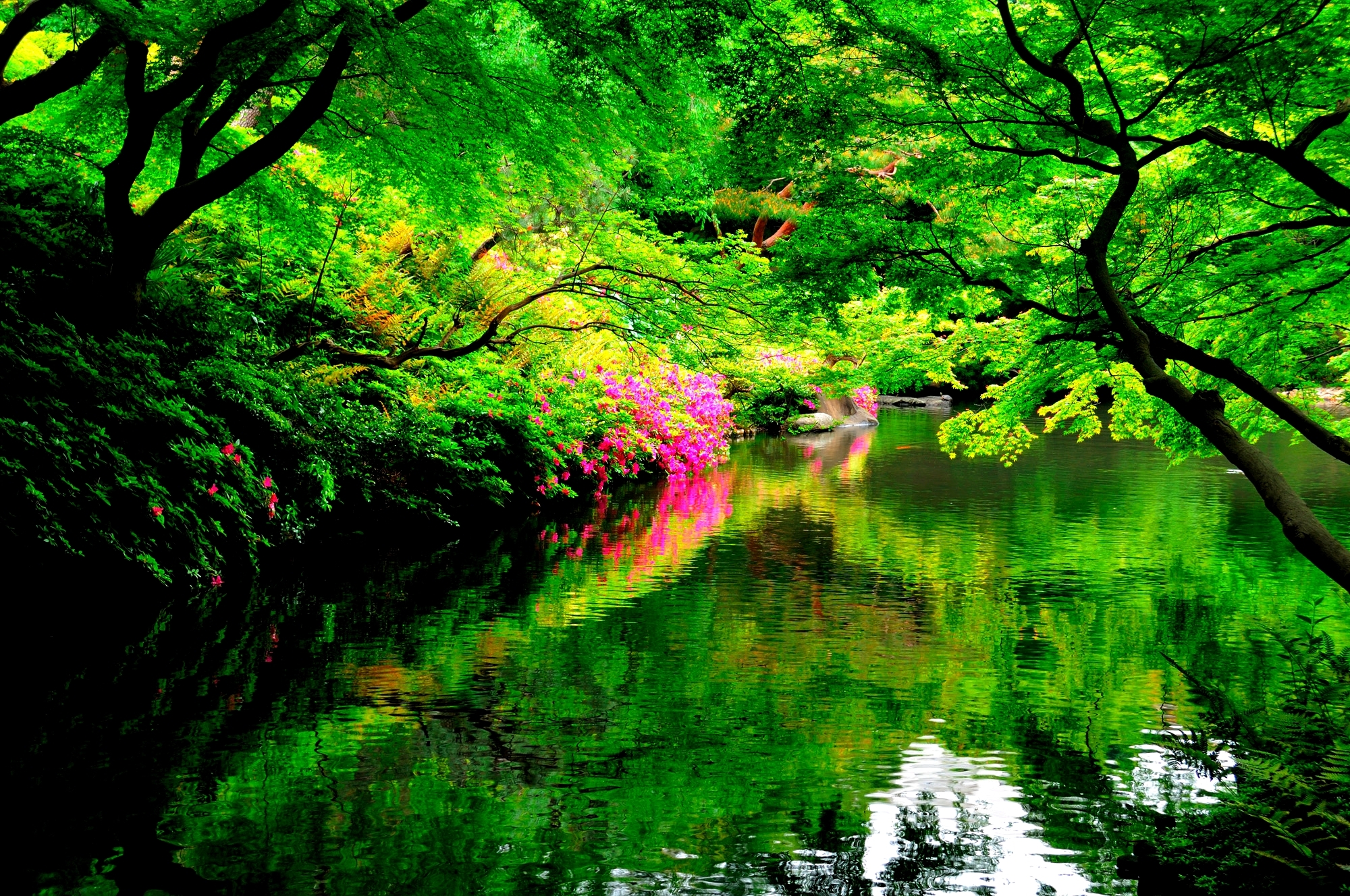 Japanese Garden HD Wallpaper