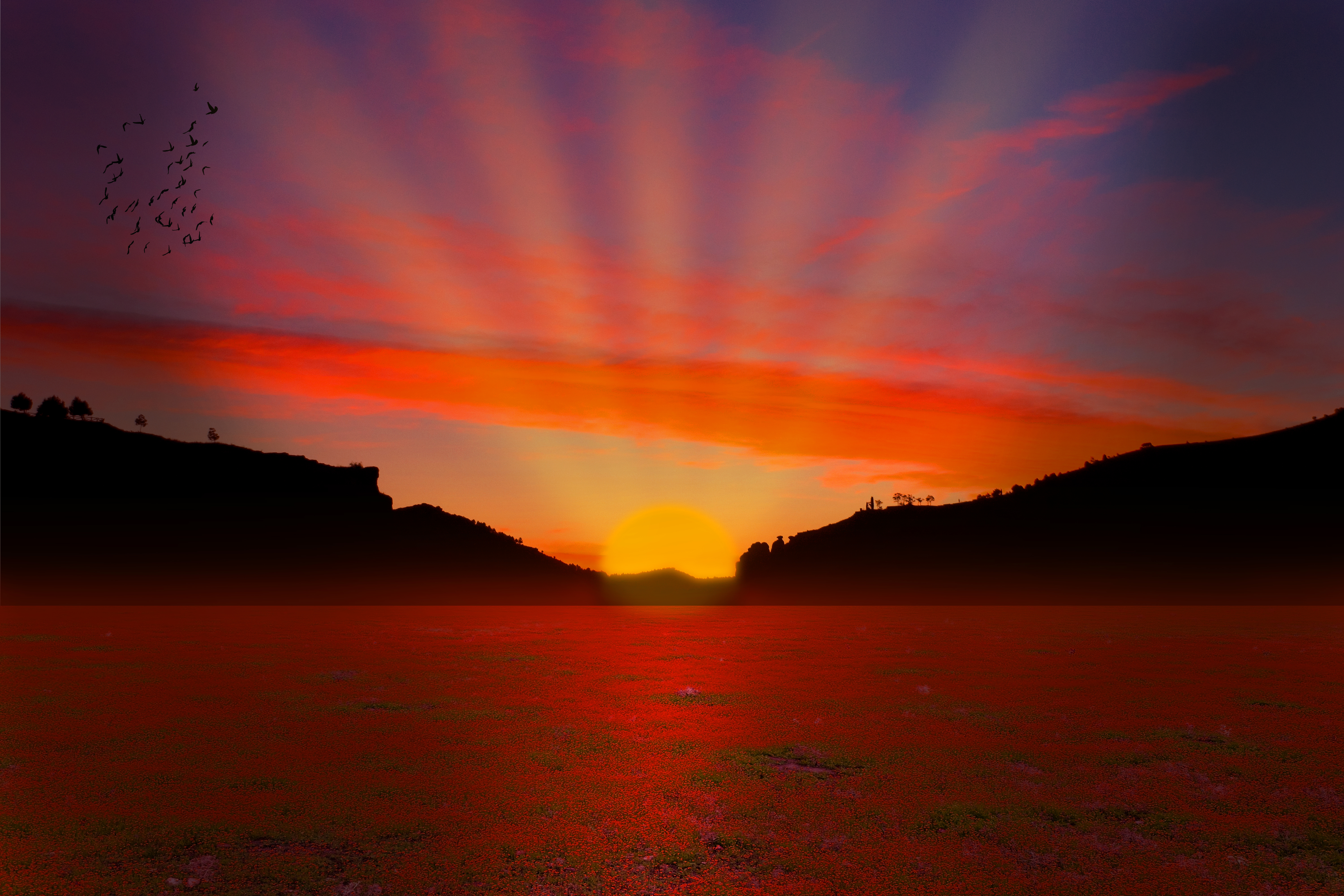 Sun Nature Sunrise 4k Ultra HD Wallpaper