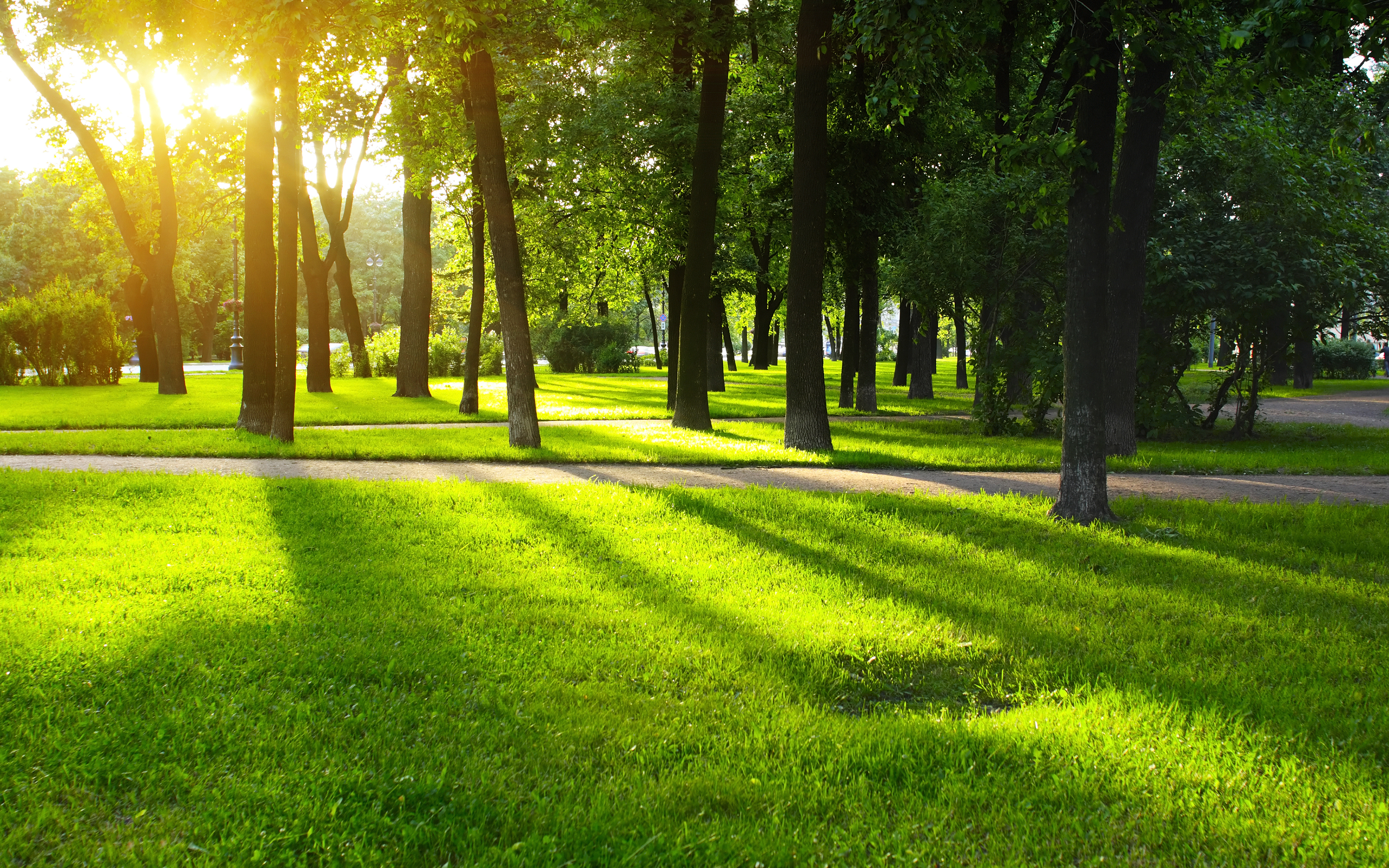 A 4K Ultra HD Wallpaper of Summer in Nature