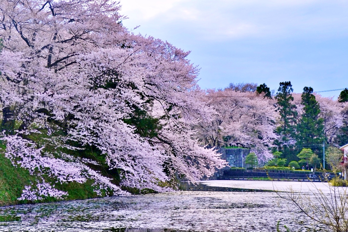 Spring Trip to Southern Tohoku