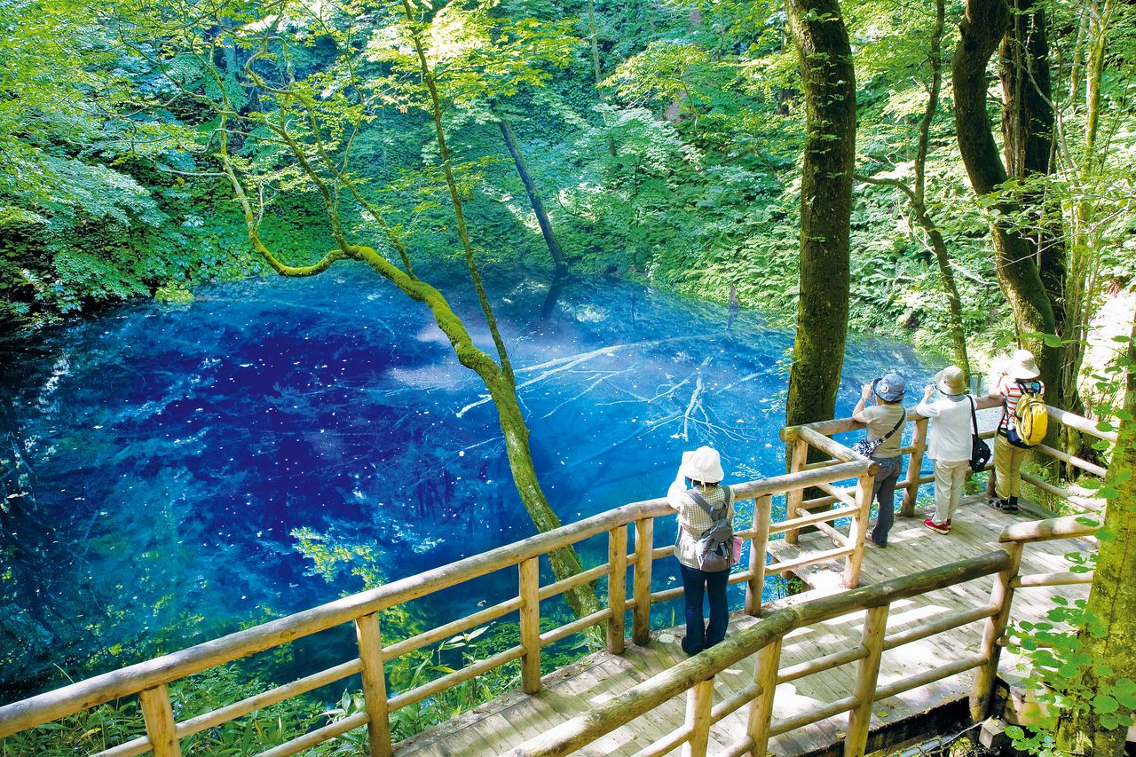 Eternal Youth with Sunset Ocean Views