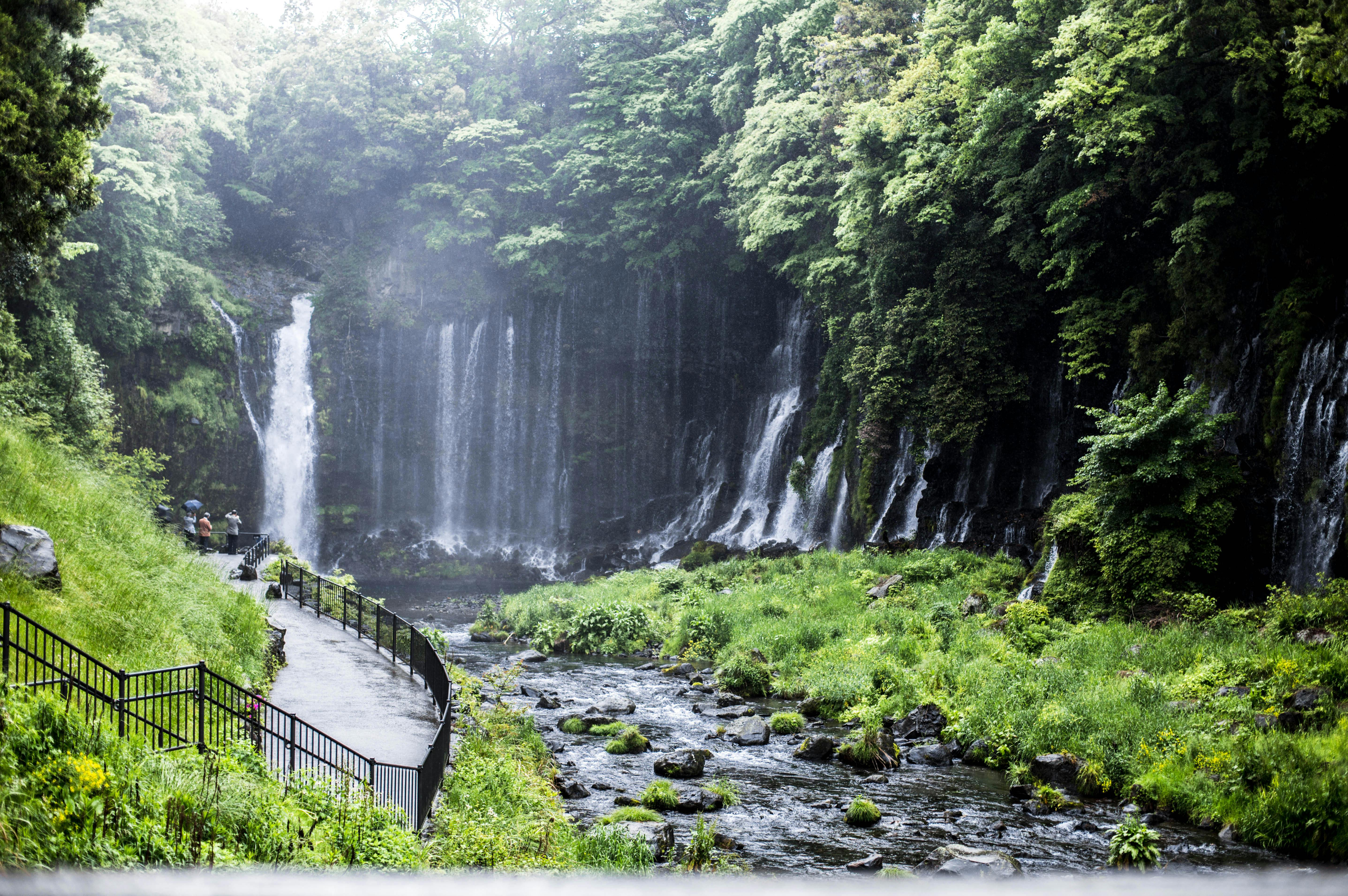 Water Falls in the Forest · Free Stock