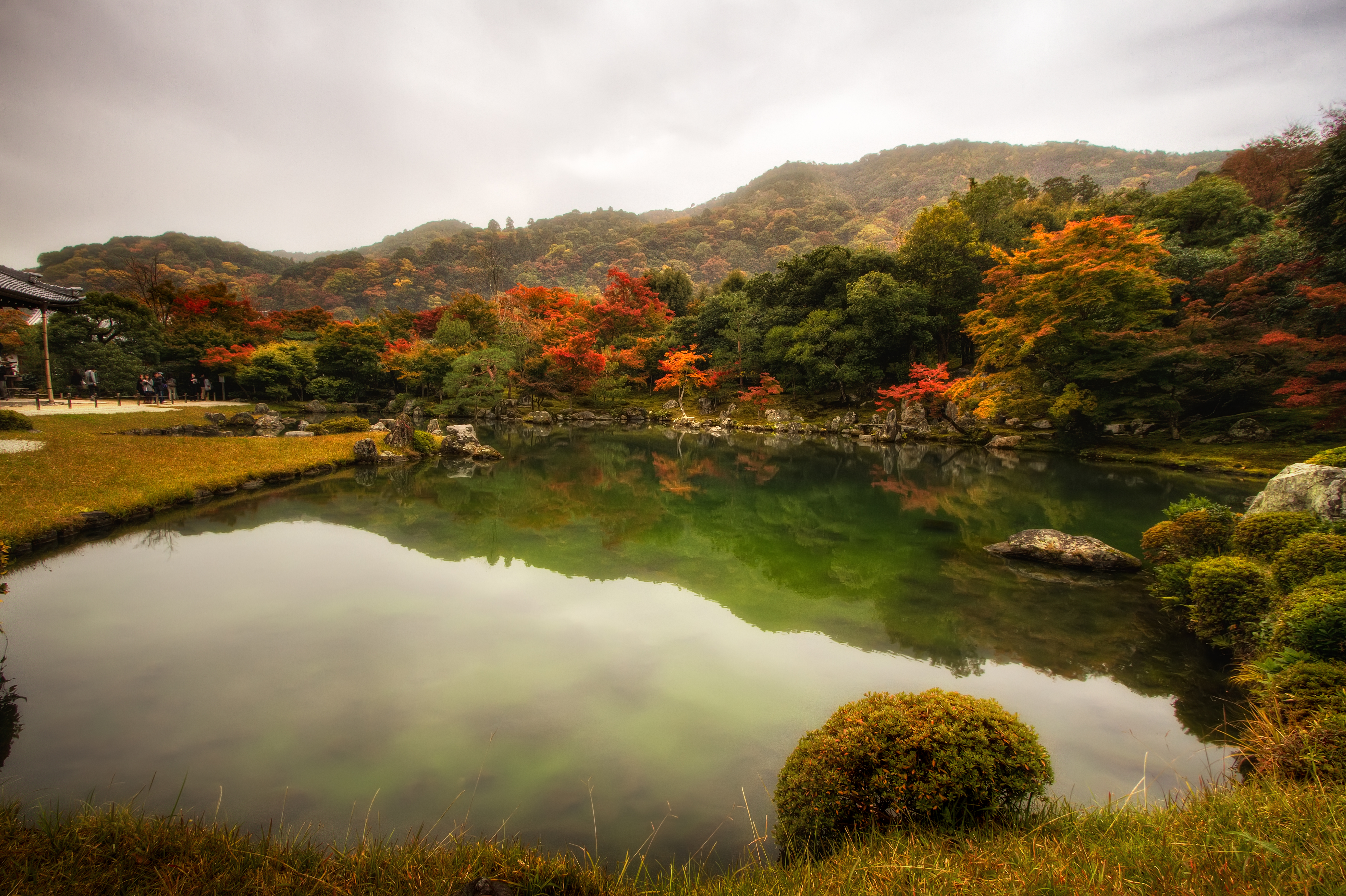 Garden Pond Ultra HD Wallpaper