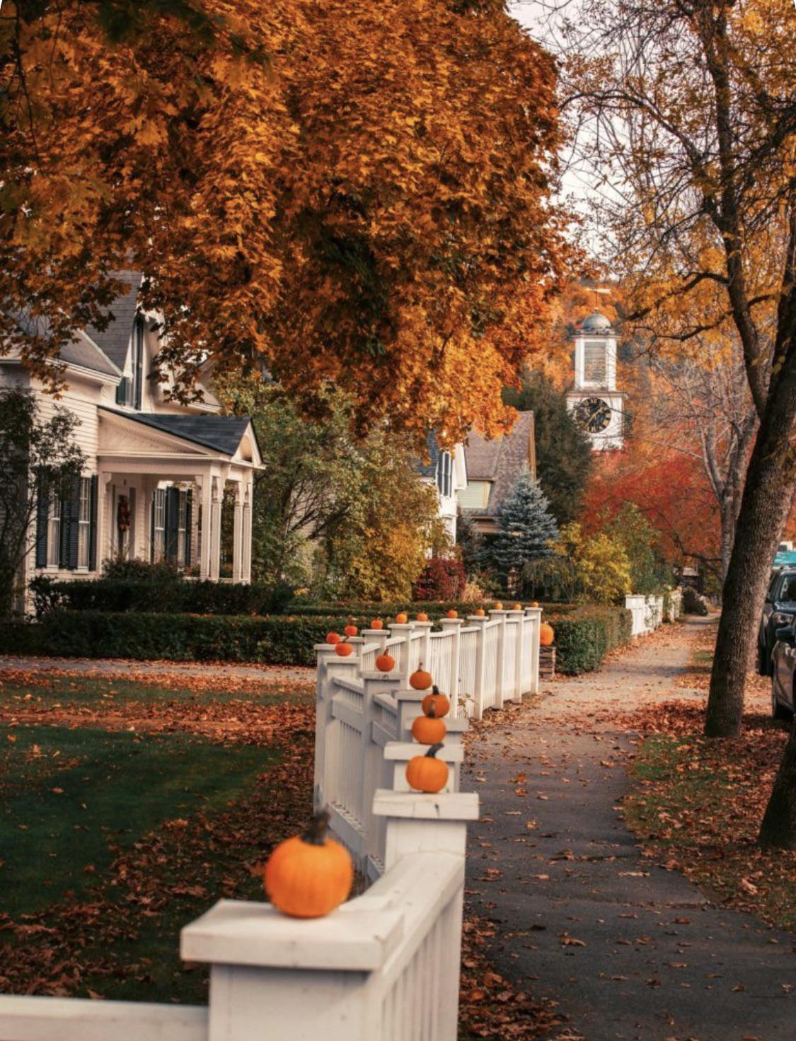 Perfect place to trick or treat