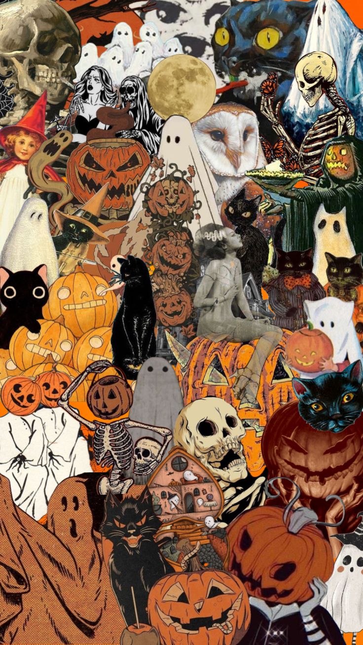 cats #halloween #skeletons #pumpkins