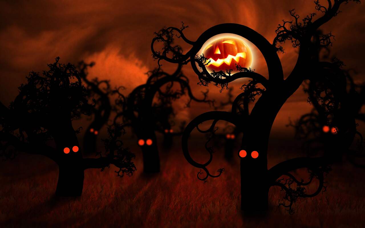 Wallpaper · Vlad.studio