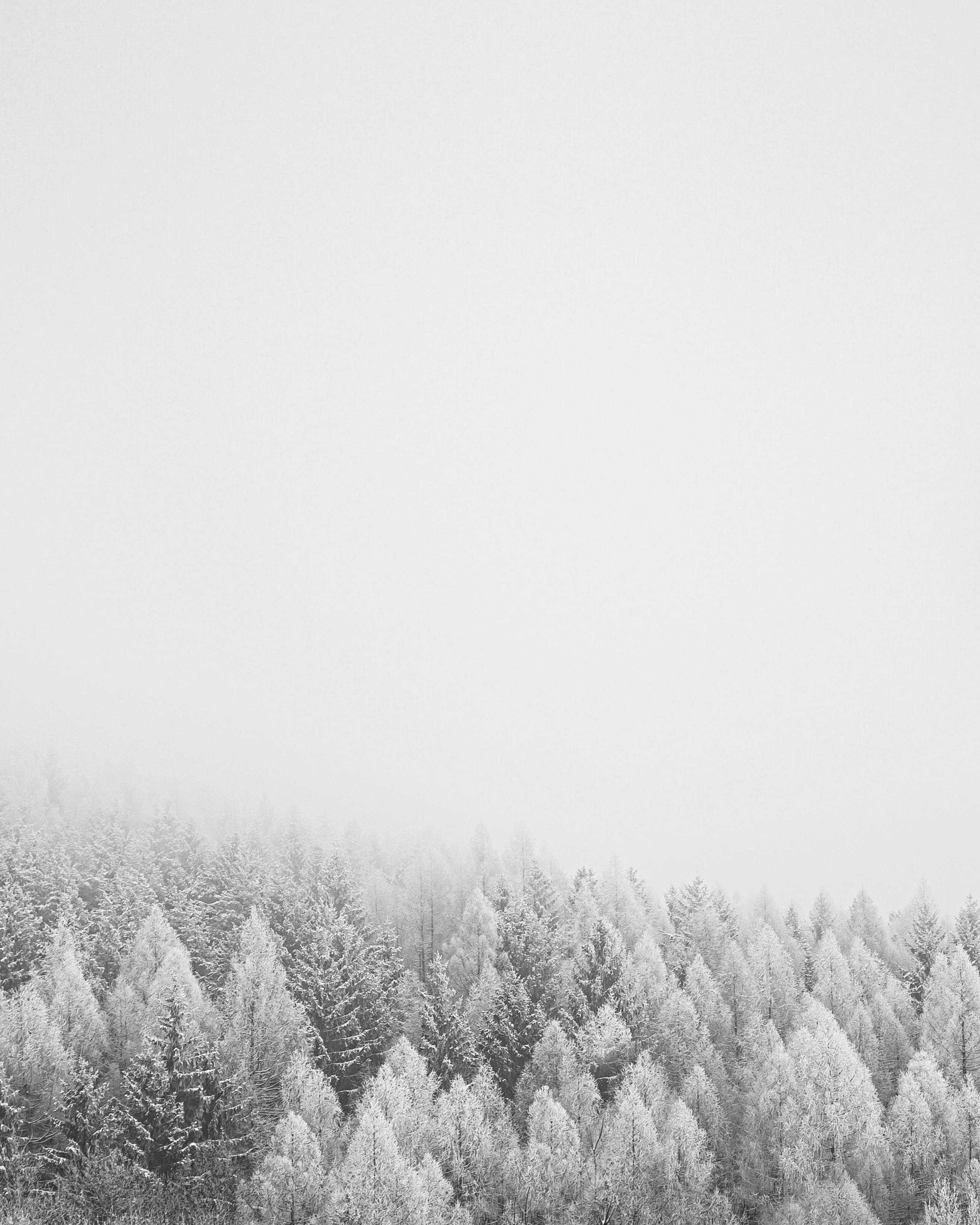 Winter Background Photo, Download The BEST Free Winter Background & HD Image