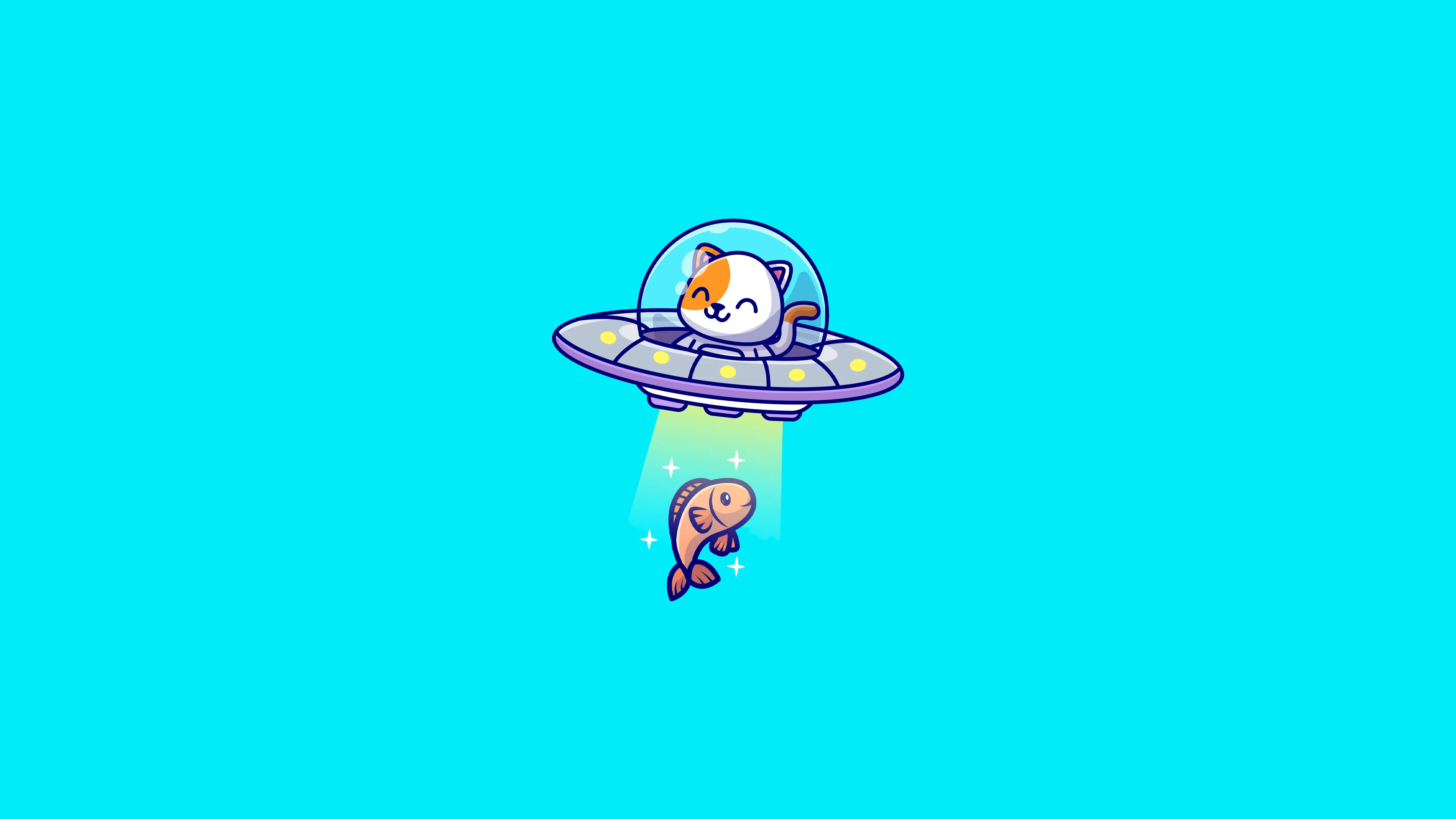 WALLPAPER 4K