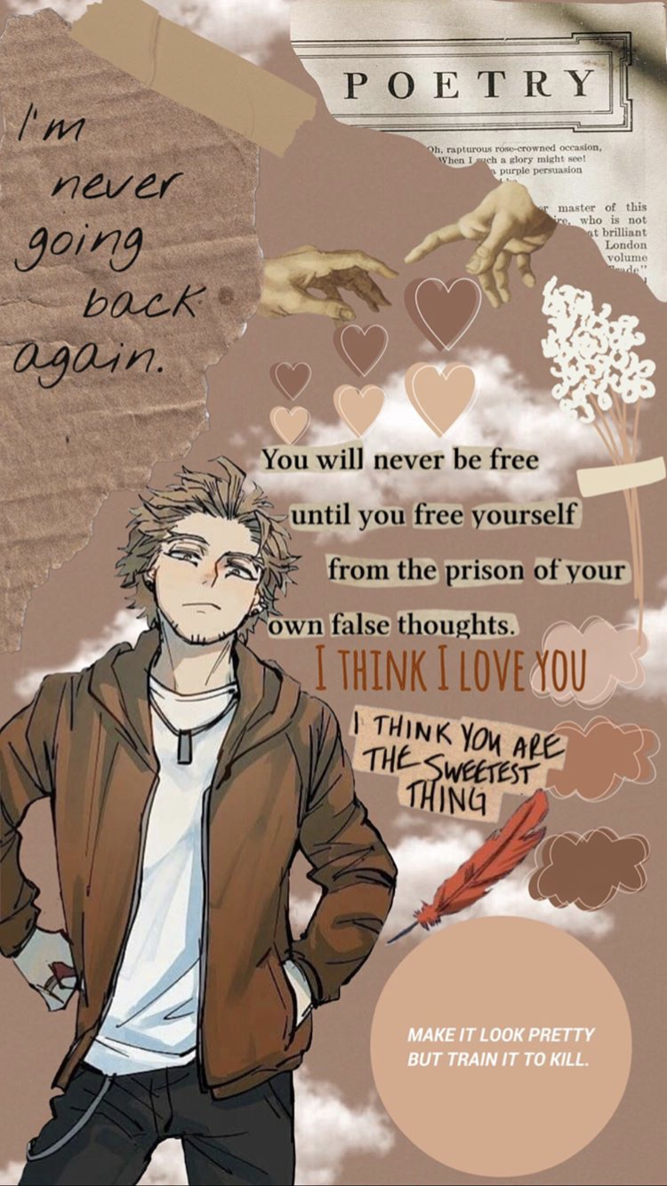 Anime My Hero Academia, Hawks Boku No