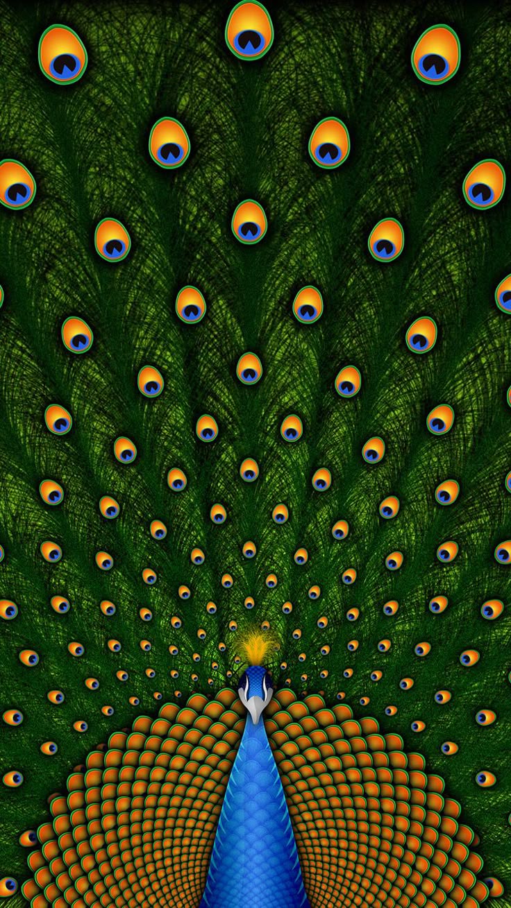 Girly Wallpaper For iPhone Peacock