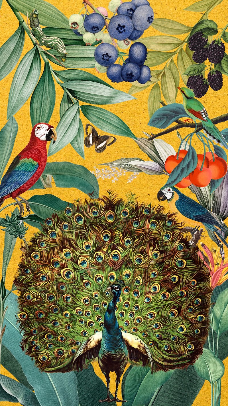 iPhone Wallpaper Food Image. Free